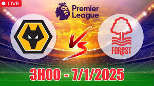 Wolves vs Nottingham Forest